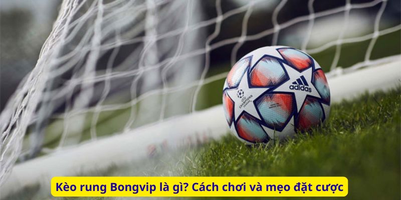Kèo rung Bongvip là gì? Cách chơi và mẹo đặt cược