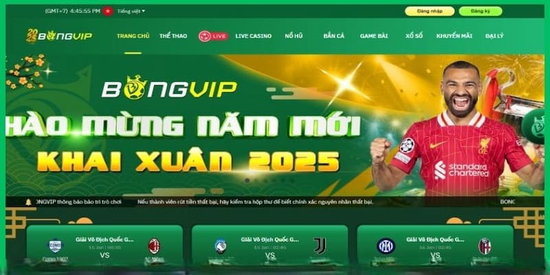 Bongvip: Thiên đường giải trí đỉnh cao - Đánh giá toàn diện